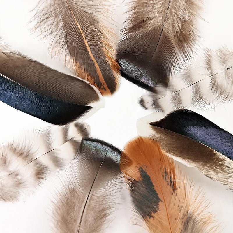MAOFENG 120pcs 7 Styles Natural Bulk Feathers Assorted Mixed Feathers for DIY Crafts Dream Catcher Wedding Hair Hats Decoration,Guinea Fowl Feathers - Image 4